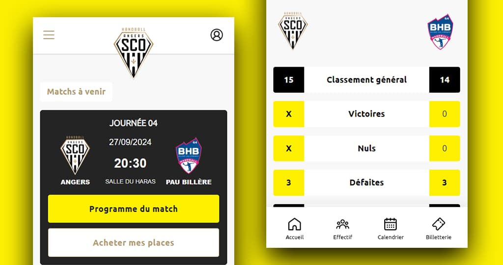 Angers SCO Handball